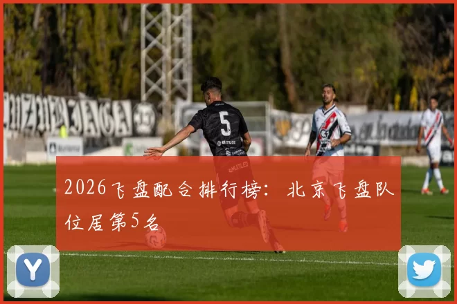 2026飞盘配合排行榜：北京飞盘队位居第5名