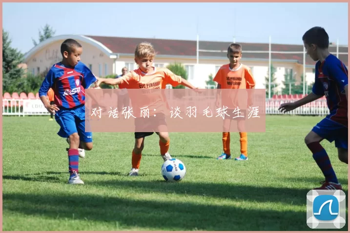 对话张丽：谈羽毛球生涯