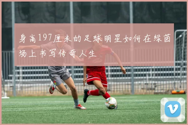 身高197厘米的足球明星如何在绿茵场上书写传奇人生