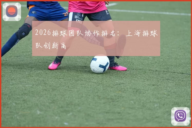 2026排球团队协作排名：上海排球队创新高