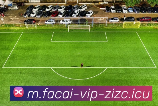 北京排球队盯防战术解析：排球深度探讨与实践经验分享